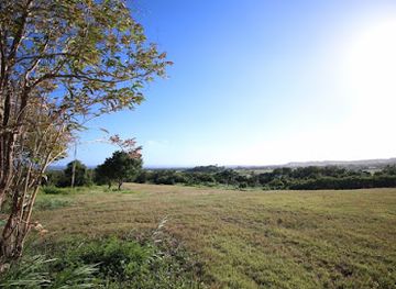 barbados/mullins/attraction/fiddlewood-park