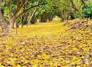 maldives/seenu-atoll/attraction/kinbivali-park