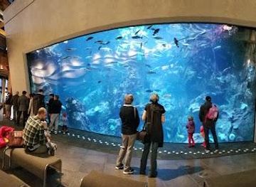 washington/bellevue/attraction/seattle-aquarium