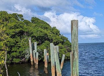 florida/key-largo/attraction/dagny-johnson-key-largo-hammock-botanical-state-park
