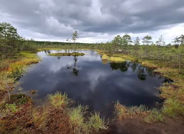 estonia/lahemaa/attraction/viru-raba-parkla