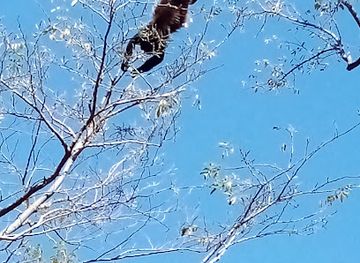 nicaragua/ometepe-island/attraction/aventuras-en-la-isla