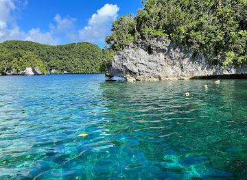 palau/ngchesar/attraction/rose-garden-snorkeling