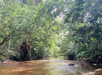 sri-lanka/mirissa/attraction/kanneliya-rainforest-srilanka