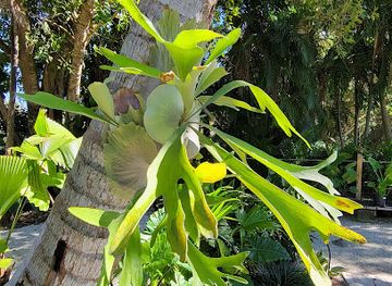 florida/sanibel-island/attraction/in-the-garden