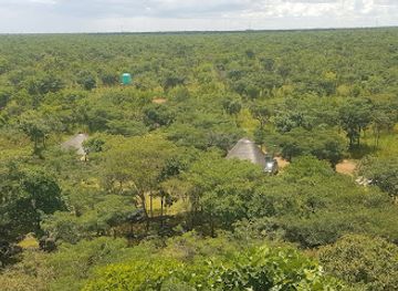 zambia/kafue-national-park/attraction/lusaka-national-park