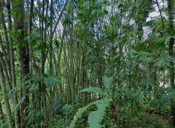 indonesia/tana-toraja/attraction/gua-kambuno
