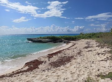 mexico/playa-del-carmen/coco-beach/attraction/playa-del-carmen-wild-beach