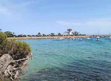 spain/serra-de-tramuntana/attraction/marineland-mallorca