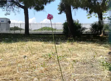 Cittadella Mediterranea della Scienza