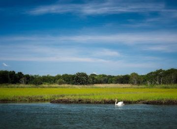 new-york/the-hamptons/attraction/scallop-pond-preserve