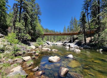 Calaveras Big Trees State Park