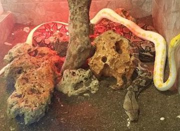 greece/heraklion/attraction/reptisland