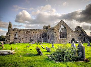 ireland/county-galway/attraction/athenry-dominican-priory