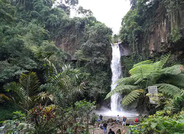 Coban Jahe