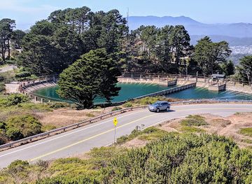 california/muir-woods-national-monument/attraction/christmas-tree-point