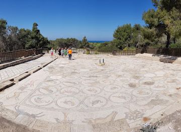 israel/northern-district/attraction/birds-mosaic