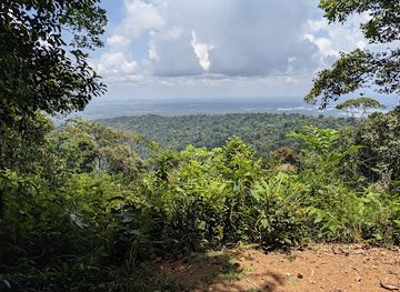 suriname/tafelberg-nature-reserve/attraction/brownsberg
