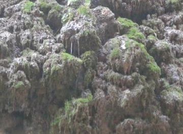 jordan/al-karak/attraction/ain-sahur