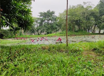 bangladesh/rajshahi/attraction/rabindra-sorovor