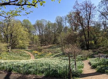 new-jersey/raritan-valley/attraction/reeves-reed-arboretum