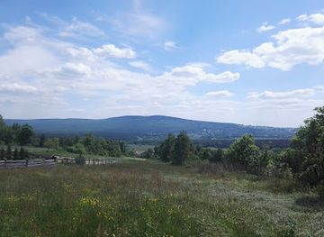 poland/holy-cross-mountains/attraction/gora-lisi-ogon