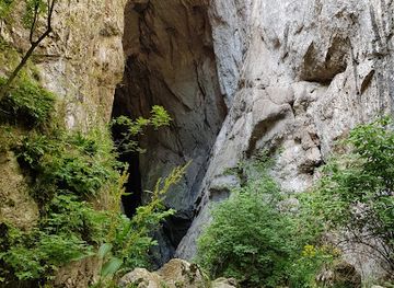 romania/hunedoara/attraction/pestera-sura-mare