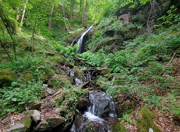 romania/salaj/attraction/cascada-valea-sasului