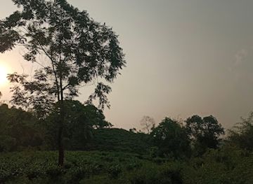 india/kaziranga-national-park/attraction/kaziranga-geleki-trek-viewpoint-1