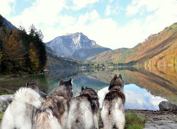 austria/salzkammergut/attraction/huskytraum