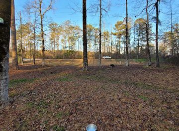 alabama/sand-mountain/attraction/chickasaw-state-park