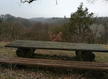 czechia/podyji-national-park/attraction/pivcuv-pramen