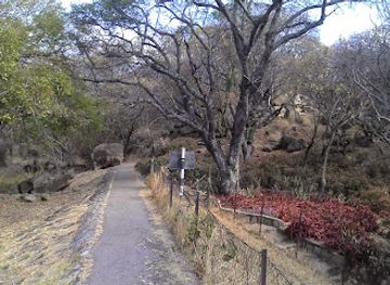 zimbabwe/bulawayo/attraction/hillside-dams-conservancy-office