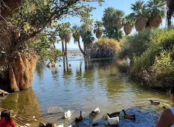 arizona/yuma/attraction/yuma-conservation-garden