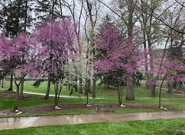 indiana/bloomington/attraction/5-friends-memorial