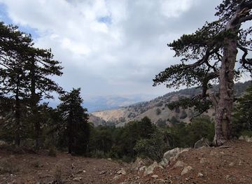cyprus/troodos-mountains/attraction/livadi-path-no-3-support-for-disabled-people