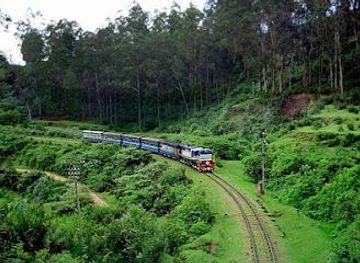 india/coimbatore/attraction/nilgiri-mountain-railway-line