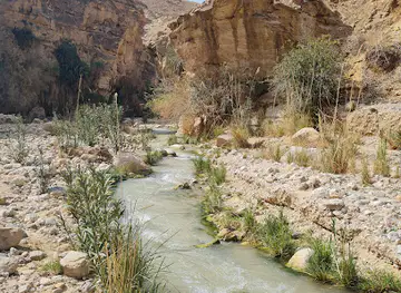 Wadi Bin Hammad
