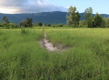 cambodia/kampot-province/attraction/chamkaar-pouni