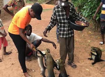 ghana/brong-ahafo/attraction/dormaa-ahenkro-gonnokrom-road-akontanemikrom-duasidan