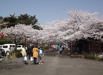 japan/sanuki/attraction/kagawaken-kimbuchi-forest-park