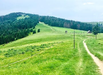 poland/gorce-mountains/attraction/hala-dluga-pod-turbaczem