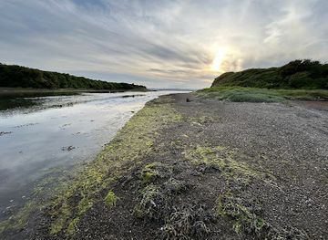ireland/county-waterford/attraction/old-mill-beach