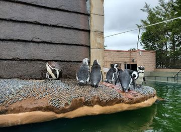 new-york/the-hamptons/attraction/long-island-aquarium