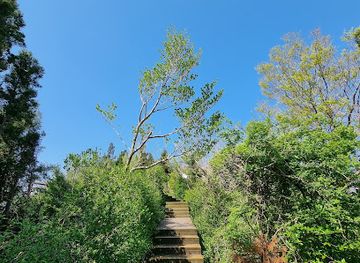 south-korea/jeju-city/attraction/geomun-oreum