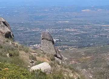 Cabeça do Velho