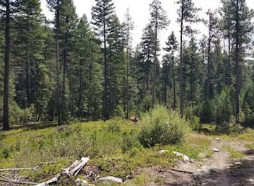 montana/bitterroot-national-forest/attraction/tin-cup-trailhead