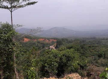 sierra-leone/freetown/attraction/cotton-tree
