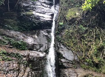 australia/new-england/attraction/cascades-walk