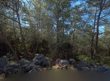 lebanon/horsh-ehden/attraction/orchide-sample-1